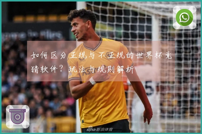 如何区分正规与不正规的世界杯竞猜软件？玩法与规则解析