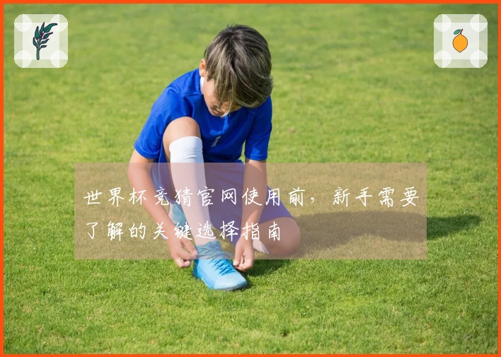 世界杯竞猜官网使用前，新手需要了解的关键选择指南