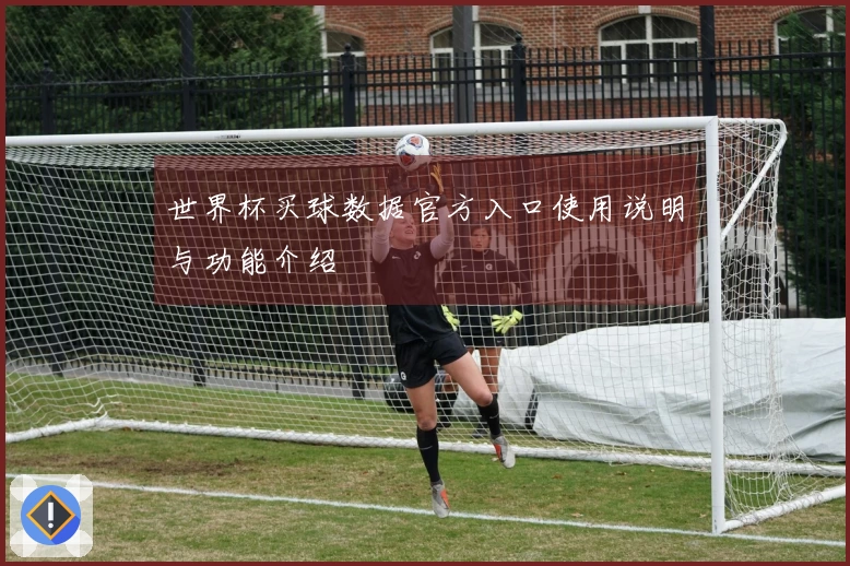 世界杯买球数据官方入口使用说明与功能介绍