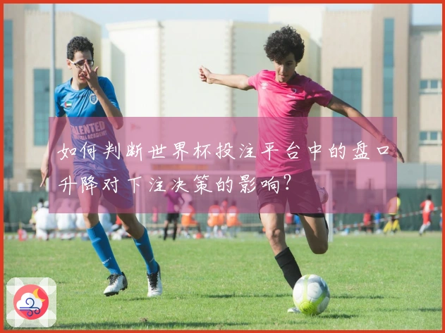 如何判断世界杯投注平台中的盘口升降对下注决策的影响？