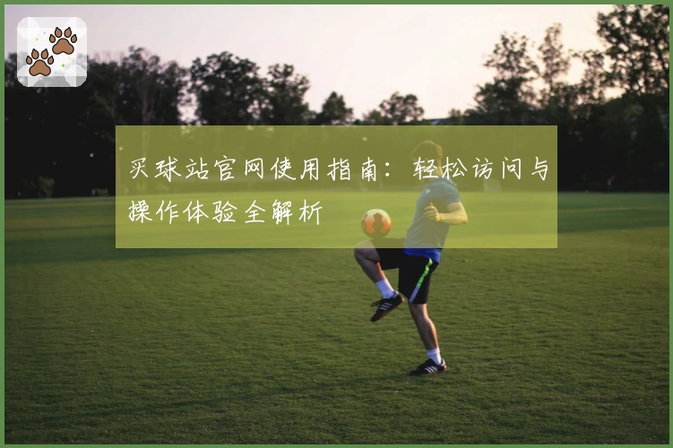 买球站官网使用指南:轻松访问与操作体验全解析