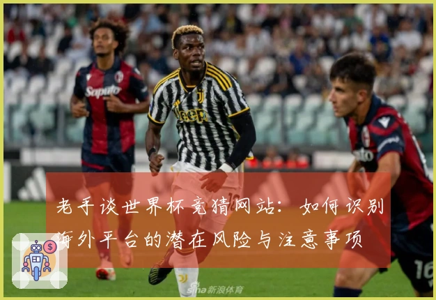 老手谈世界杯竞猜网站:如何识别海外平台的潜在风险与注意事项