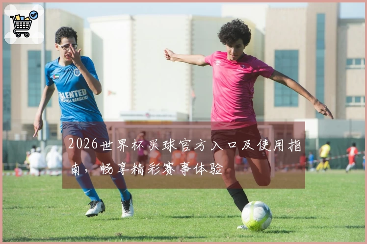 2026世界杯买球官方入口及使用指南，畅享精彩赛事体验