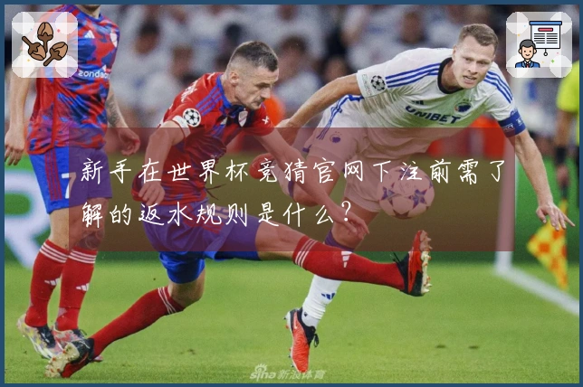 新手在世界杯竞猜官网下注前需了解的返水规则是什么?