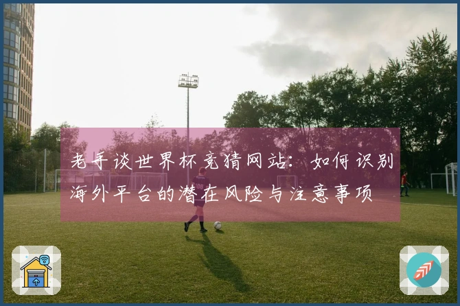 老手谈世界杯竞猜网站：如何识别海外平台的潜在风险与注意事项