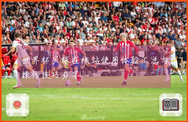 世界杯买球在线站使用体验汇总与操作技巧分享