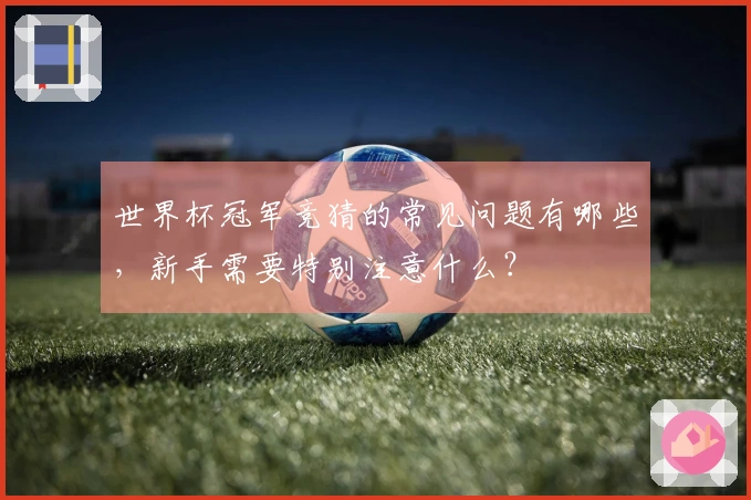 世界杯冠军竞猜的常见问题有哪些，新手需要特别注意什么？