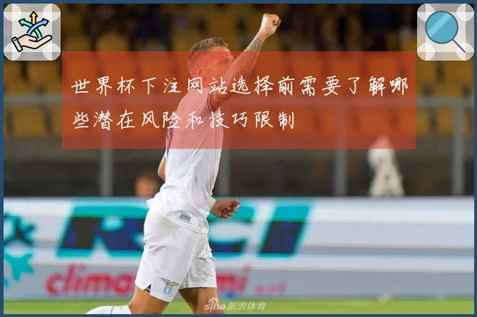 世界杯下注网站选择前需要了解哪些潜在风险和技巧限制