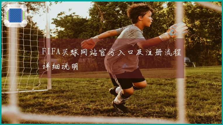 FIFA买球网站官方入口及注册流程详细说明