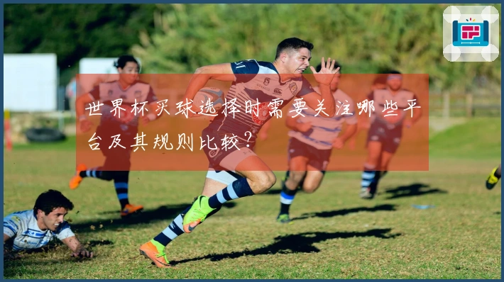世界杯买球选择时需要关注哪些平台及其规则比较？