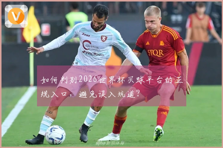 如何判别2026世界杯买球平台的正规入口，避免误入坑道？