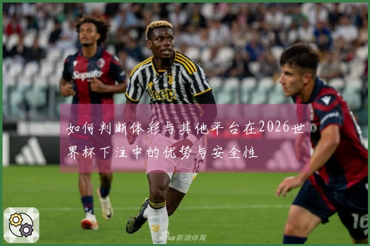 如何判断体彩与其他平台在2026世界杯下注中的优势与安全性