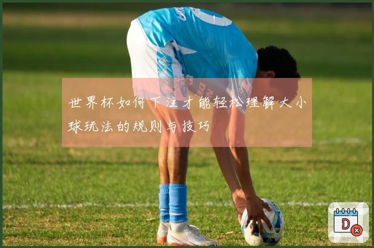 世界杯如何下注才能轻松理解大小球玩法的规则与技巧