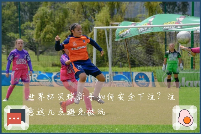 世界杯买球新手如何安全下注？注意这几点避免被坑