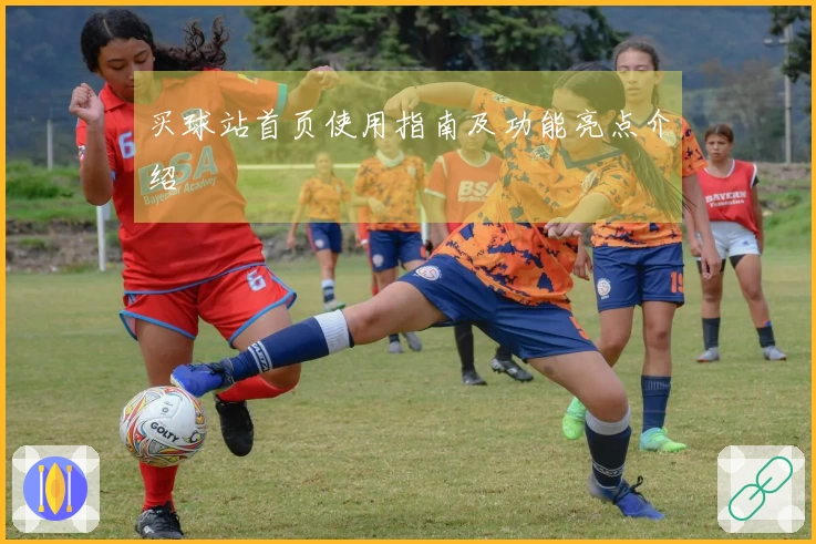 买球站首页使用指南及功能亮点介绍