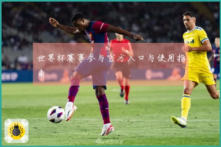世界杯赛事参与官方入口与使用指南