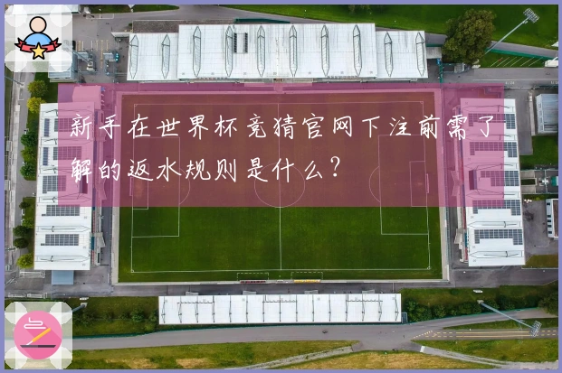 新手在世界杯竞猜官网下注前需了解的返水规则是什么？