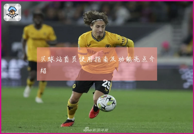 买球站首页使用指南及功能亮点介绍