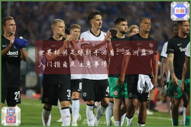 世界杯买足球新手必看：亚洲盘口入门指南及注意事项